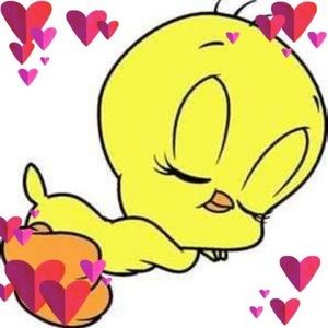 Meet your Posher, Luz